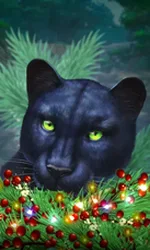 Blue Panther -CE